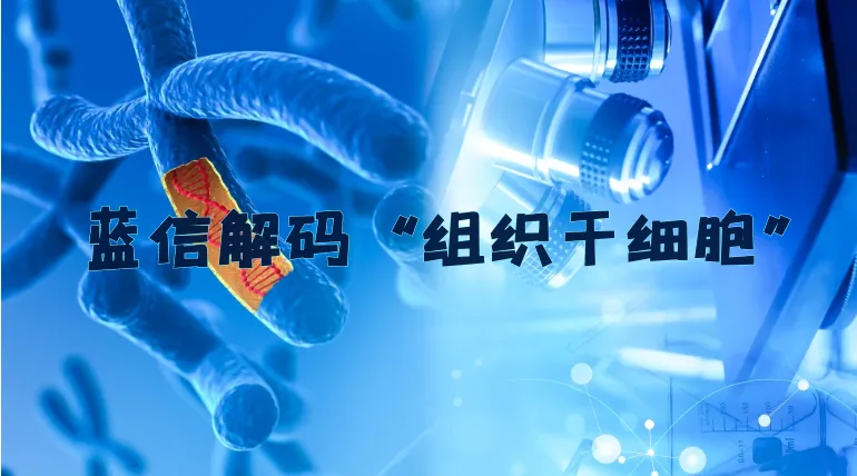 后疫情时代如何打造“柔性组织”?蓝信解码“组织干细胞”